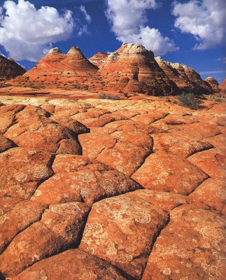 Orange cones in the desert